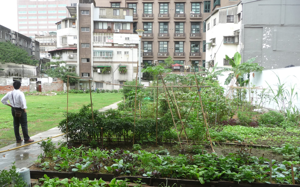 Taipei - Urban gardening & its restorative impacts
