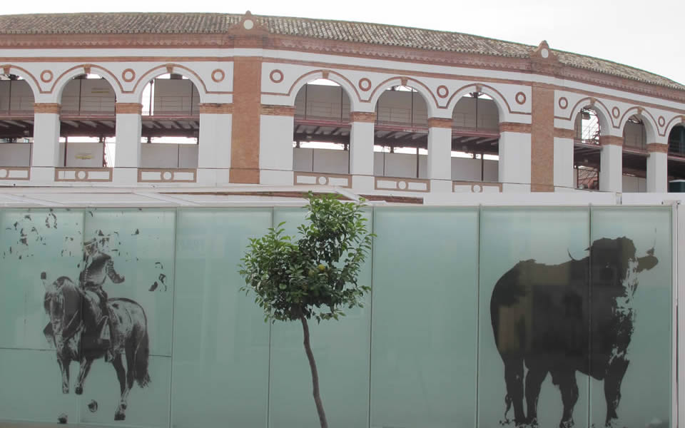 Malaga - Bullfighting  increasingly seen as cruel
